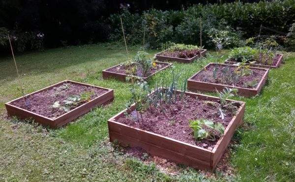 Carres Potagers Saint-Cyr-sur-Loire 37